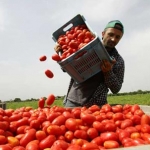 Stranieri lavoratori, un mese per la messa in regola