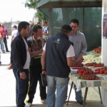 Agricoltura, nel 2013 riprendono le assunzioni