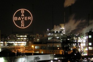 bayer