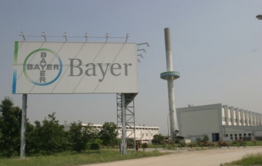 bayer