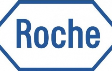 roche lavoro