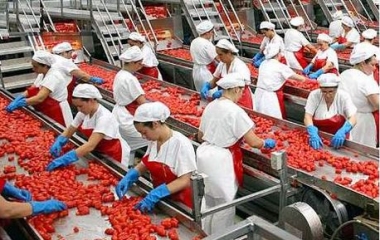 alimentare lavoro